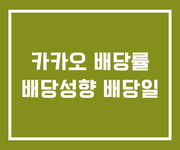 카카오 배당률 배당성향 배당일