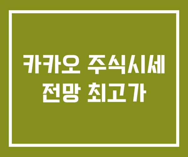 카카오 주식시세 전망 최고가