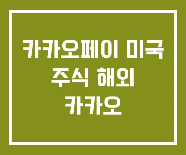 카카오페이 미국 주식 해외 카카오