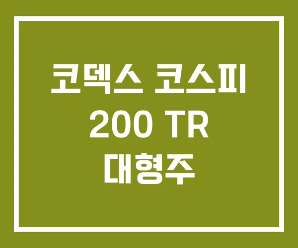 코덱스 코스피 200 TR 대형주