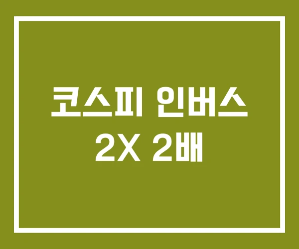 코스피 인버스 2X 2배