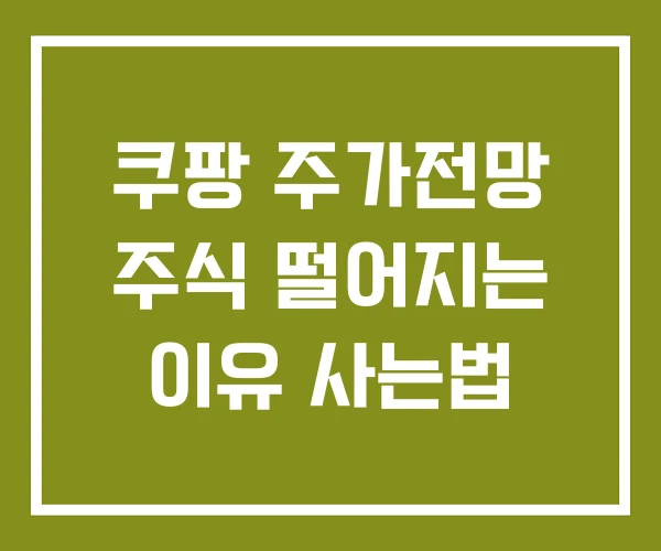 쿠팡 주가전망 주식 떨어지는 이유 사는법