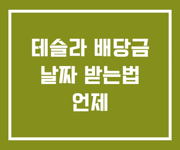 테슬라 배당금 날짜 받는법 언제
