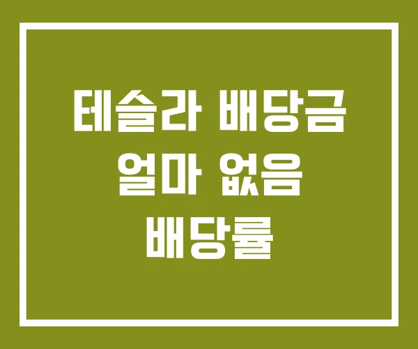 테슬라 배당금 얼마 없음 배당률