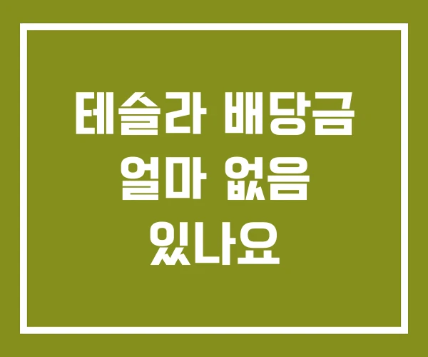 테슬라 배당금 얼마 없음 있나요