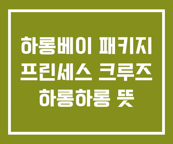 하롱베이 패키지 프린세스 크루즈 하롱하롱 뜻