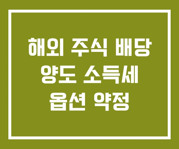 해외 주식 배당 양도 소득세 옵션 약정