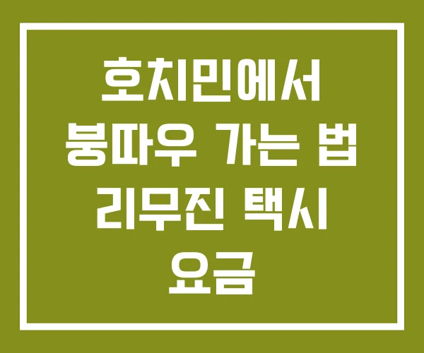 호치민에서 붕따우 가는 법 리무진 택시 요금