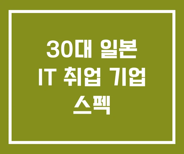 30대 일본 IT 취업 기업 스펙