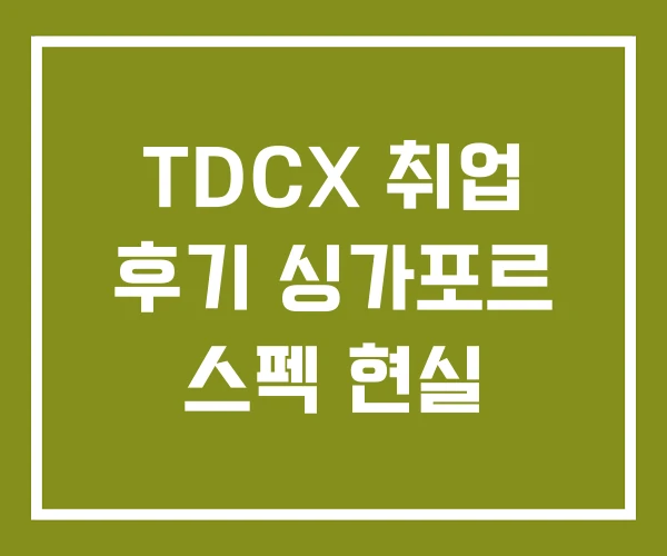 TDCX 취업 후기 싱가포르 스펙 현실