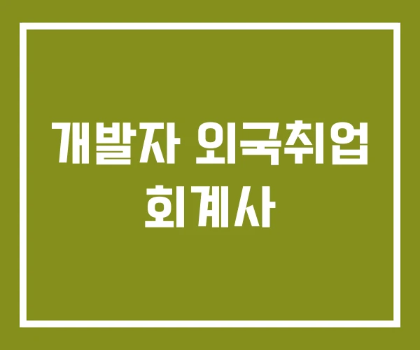 개발자 외국취업 회계사