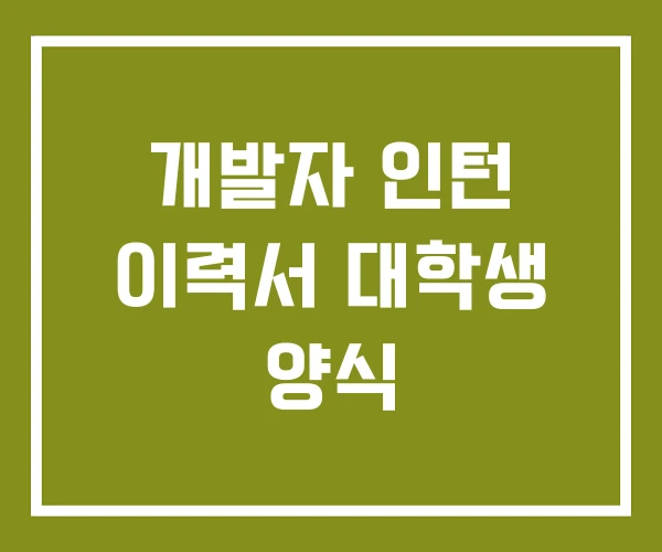 개발자 인턴 이력서 대학생 양식