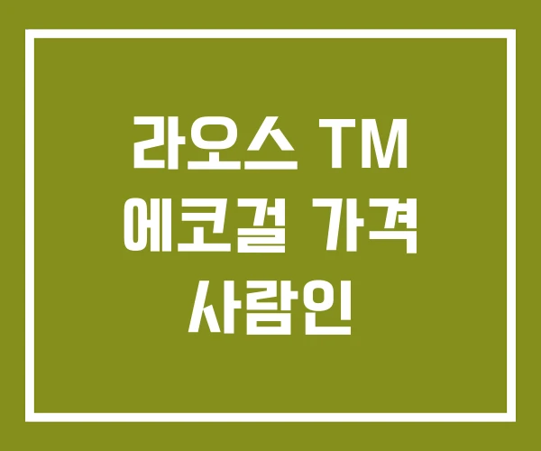 라오스 TM 에코걸 가격 사람인