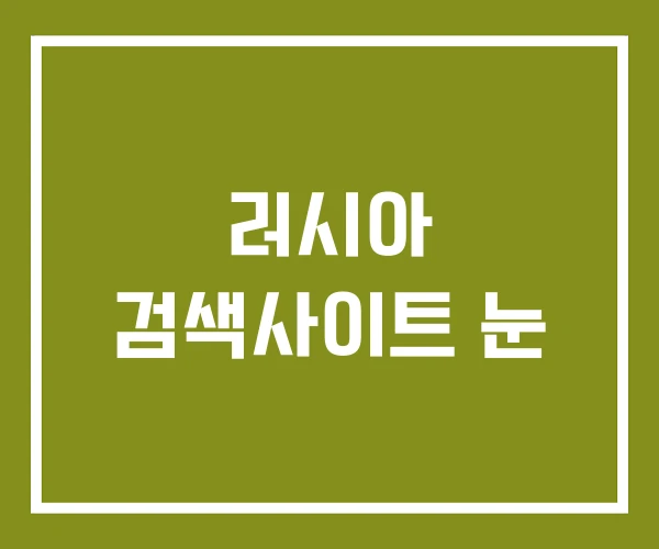 러시아 검색사이트 눈