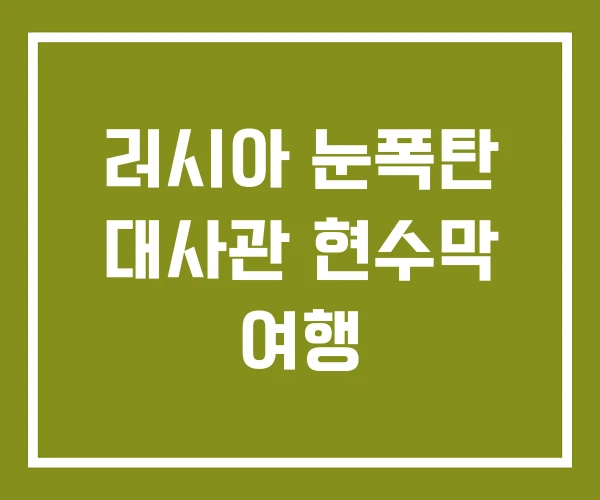 러시아 눈폭탄 대사관 현수막 여행