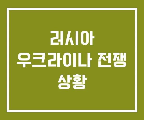 러시아 우크라이나 전쟁 상황