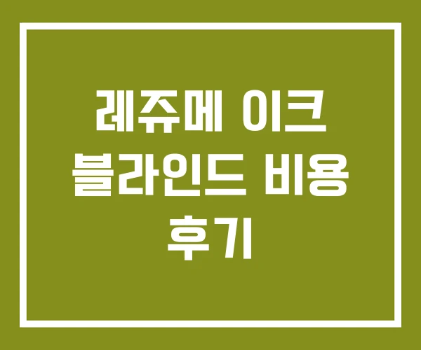 레쥬메 이크 블라인드 비용 후기