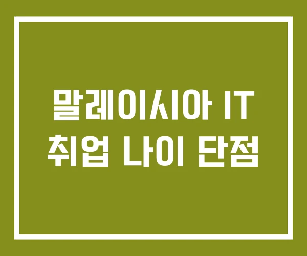 말레이시아 IT 취업 나이 단점