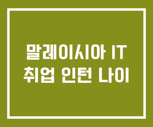 말레이시아 IT 취업 인턴 나이