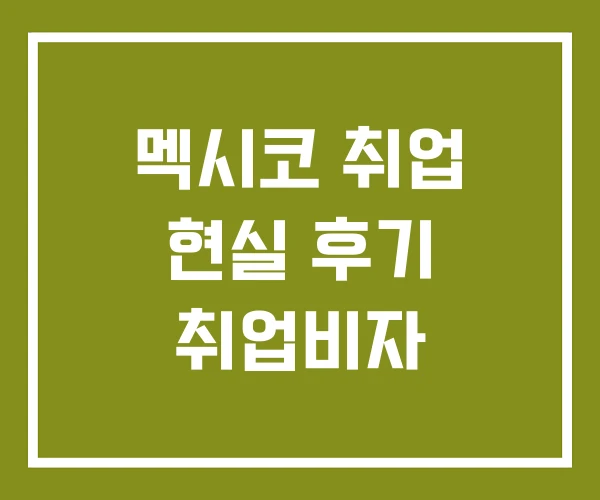 멕시코 취업 현실 후기 취업비자