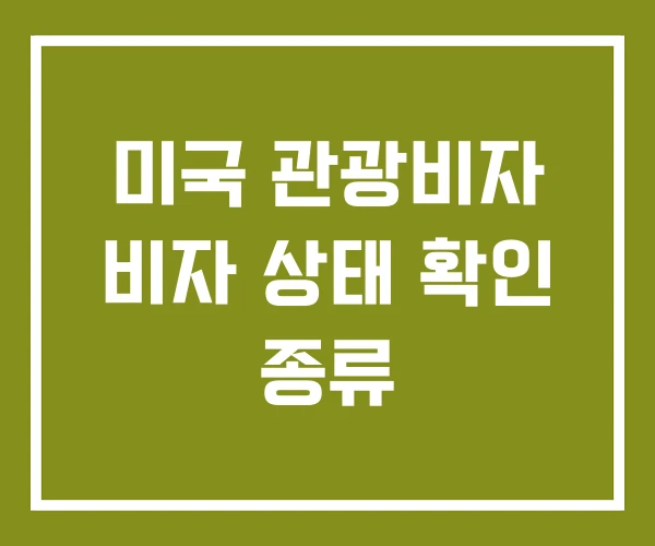 미국 관광비자 비자 상태 확인 종류