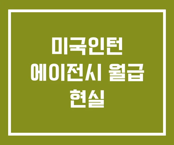 미국인턴 에이전시 월급 현실