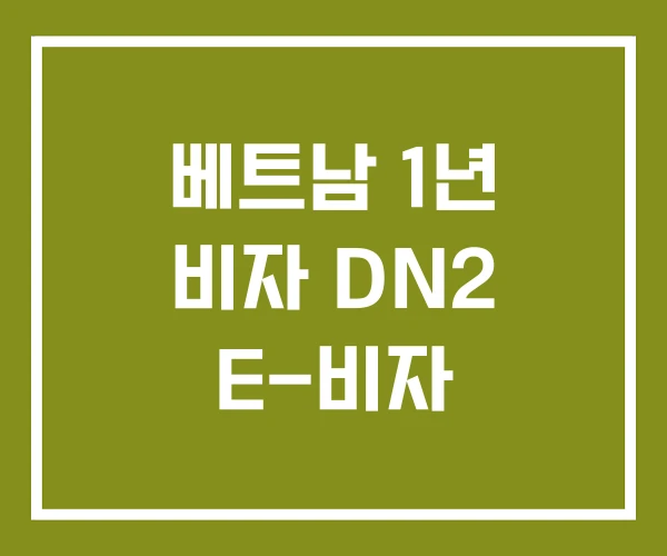 베트남 1년 비자 DN2 E-비자