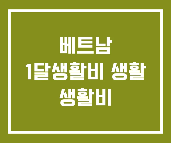 베트남 1달생활비 생활 생활비