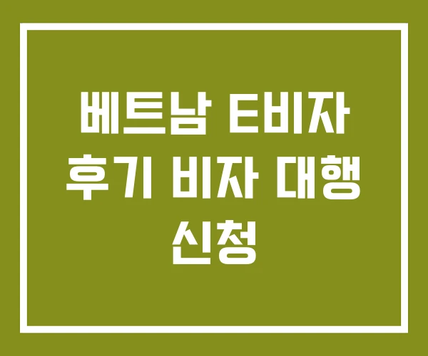 베트남 E비자 후기 비자 대행 신청