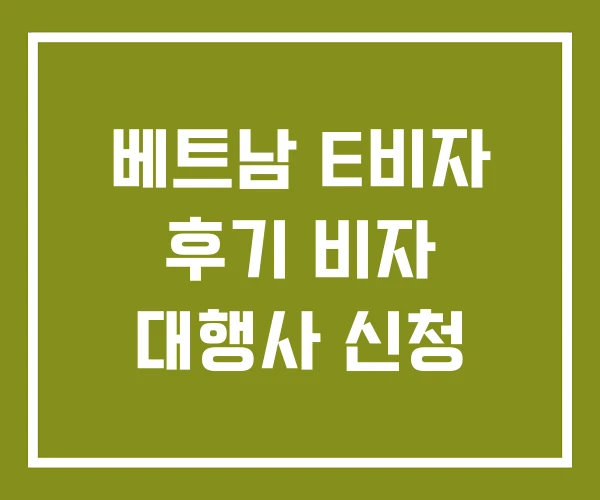 베트남 E비자 후기 비자 대행사 신청