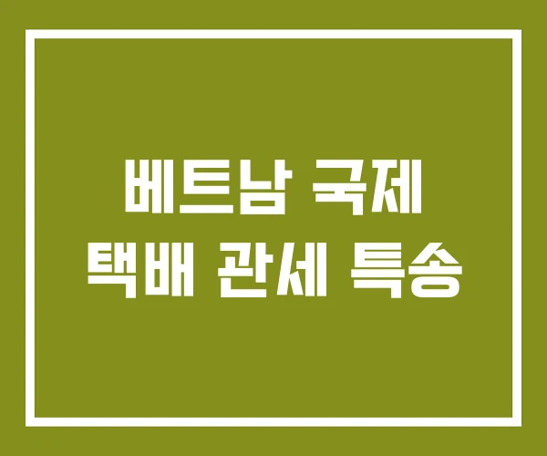 베트남 국제 택배 관세 특송