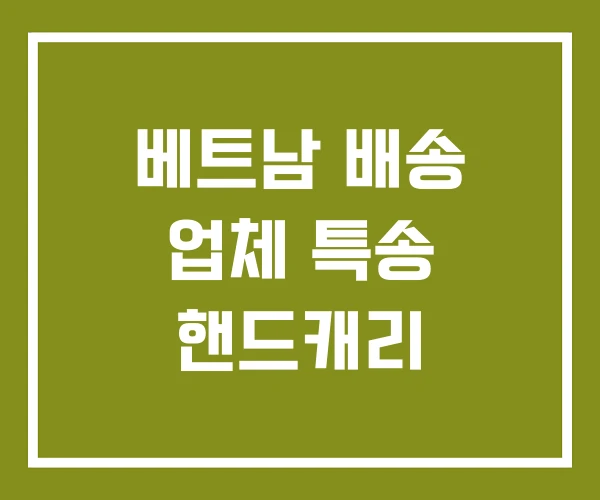 베트남 배송 업체 특송 핸드캐리