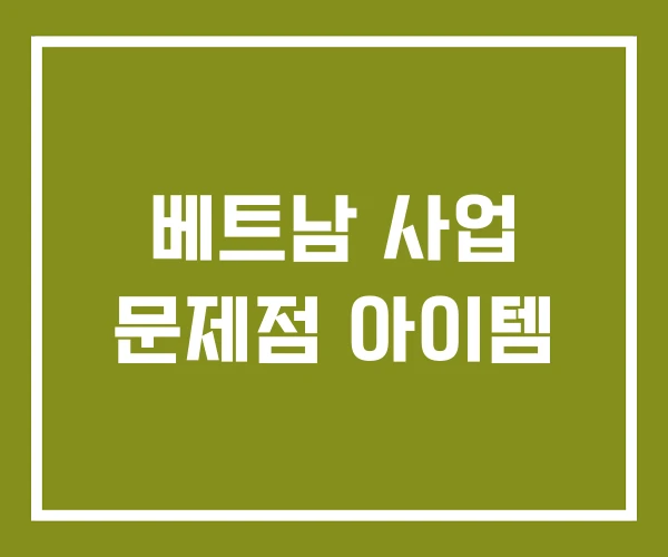 베트남 사업 문제점 아이템