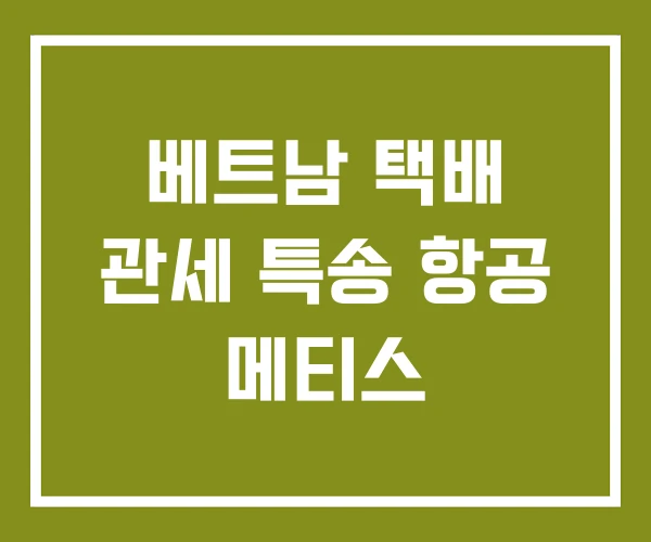 베트남 택배 관세 특송 항공 메티스