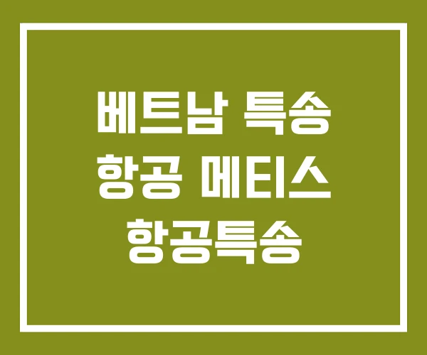 베트남 특송 항공 메티스 항공특송
