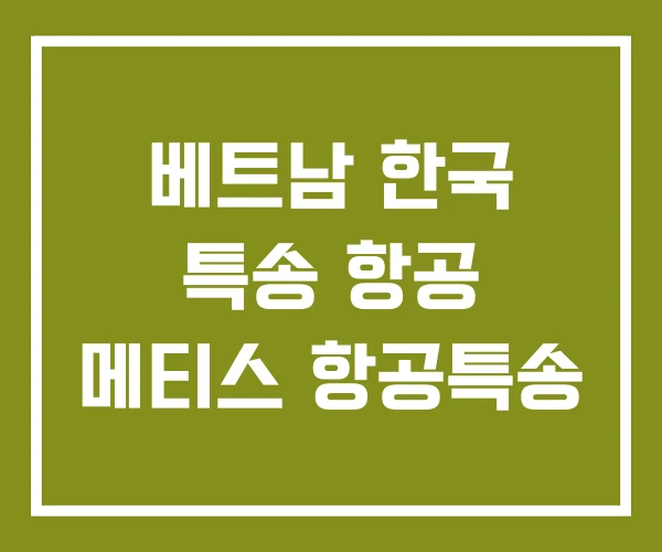 베트남 한국 특송 항공 메티스 항공특송