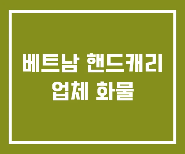 베트남 핸드캐리 업체 화물