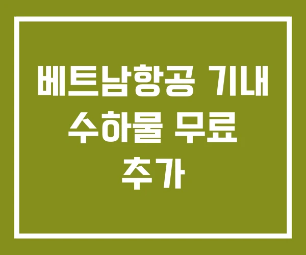 베트남항공 기내 수하물 무료 추가
