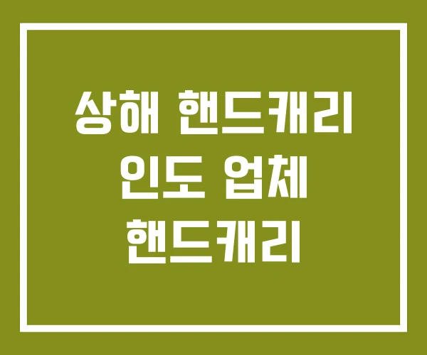 상해 핸드캐리 인도 업체 핸드캐리