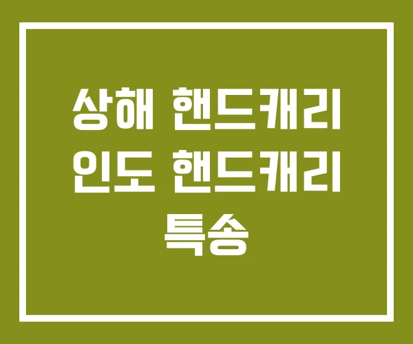 상해 핸드캐리 인도 핸드캐리 특송