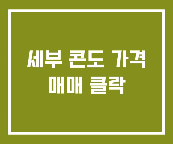 세부 콘도 가격 매매 클락