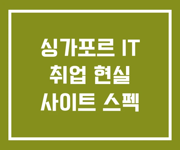 싱가포르 IT 취업 현실 사이트 스펙