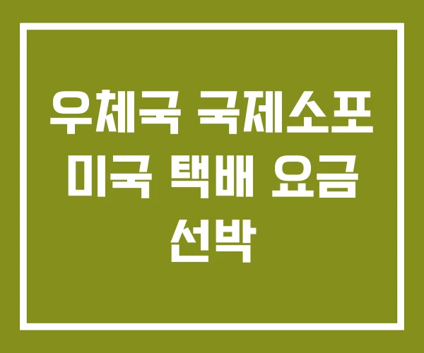 우체국 국제소포 미국 택배 요금 선박
