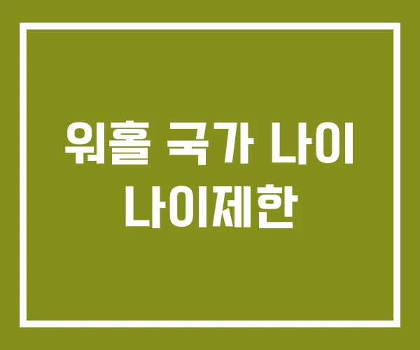 워홀 국가 나이 나이제한