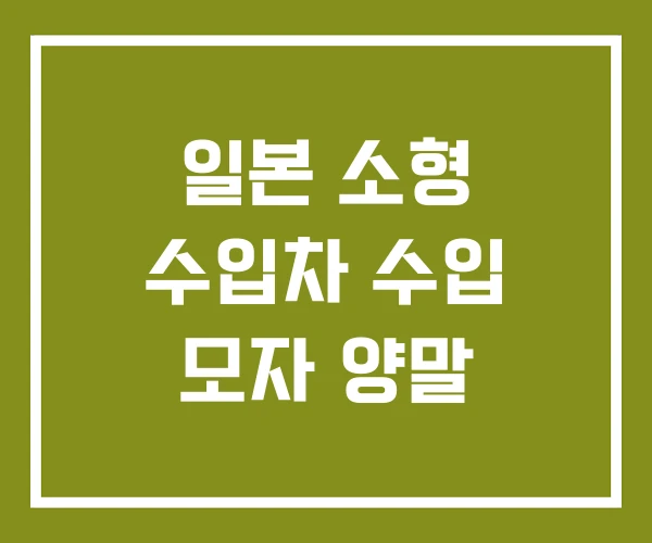 일본 소형 수입차 수입 모자 양말