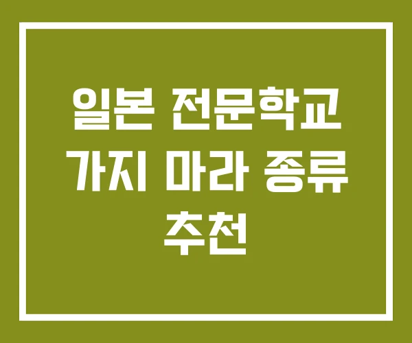 일본 전문학교 가지 마라 종류 추천