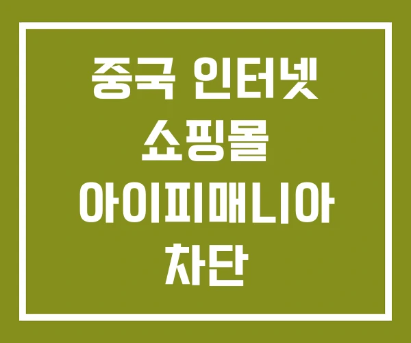 중국 인터넷 쇼핑몰 아이피매니아 차단