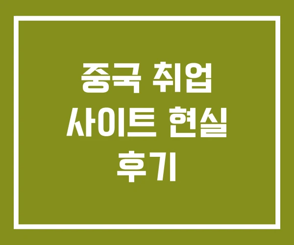 중국 취업 사이트 현실 후기