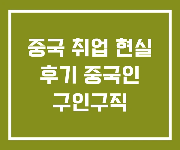 중국 취업 현실 후기 중국인 구인구직