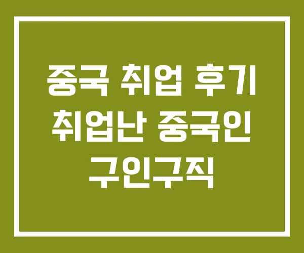 중국 취업 후기 취업난 중국인 구인구직